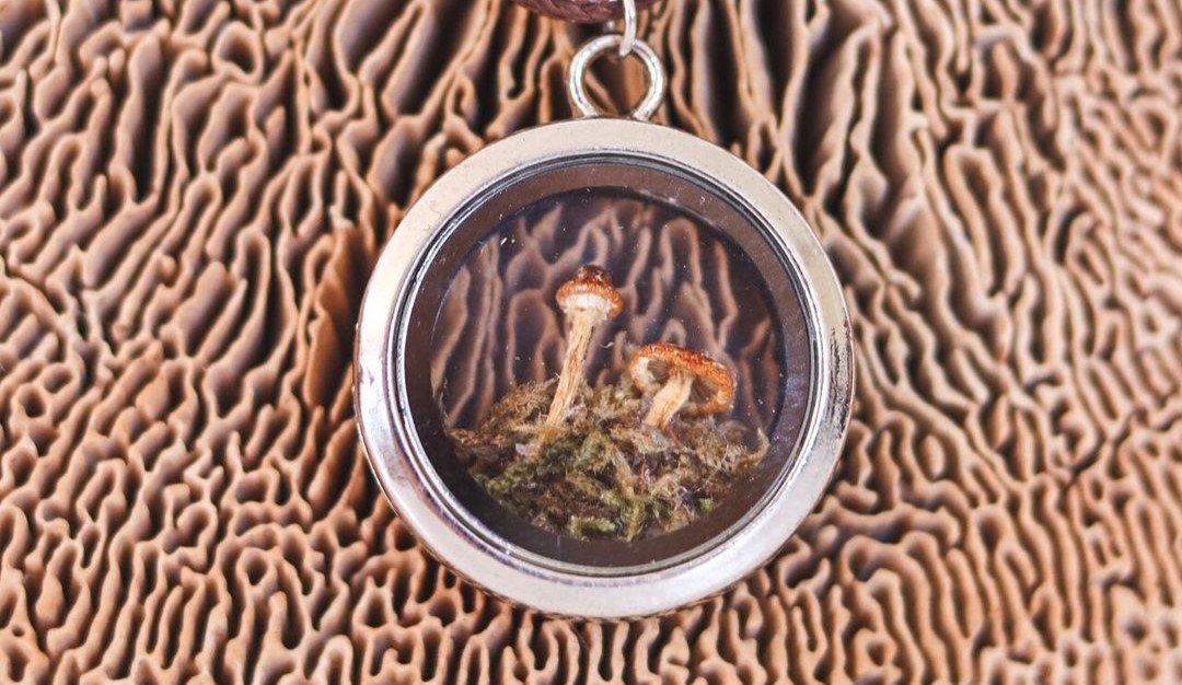 Mosh Jewelry