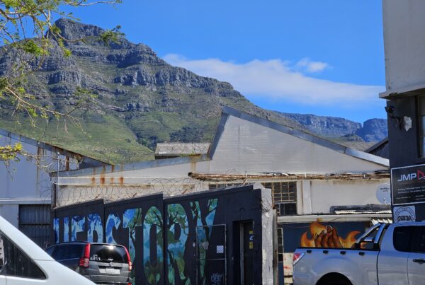 cape town street art header