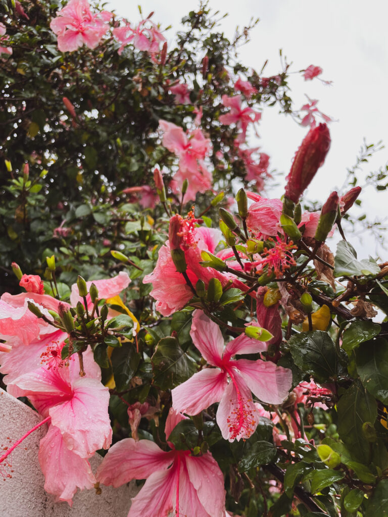 How To Take Photos You Actually Like (And No You Don’t Need A Film Camera)