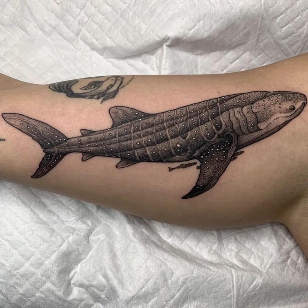 WhatsApp Image 2024-05-06 at 08.56.11 (2)