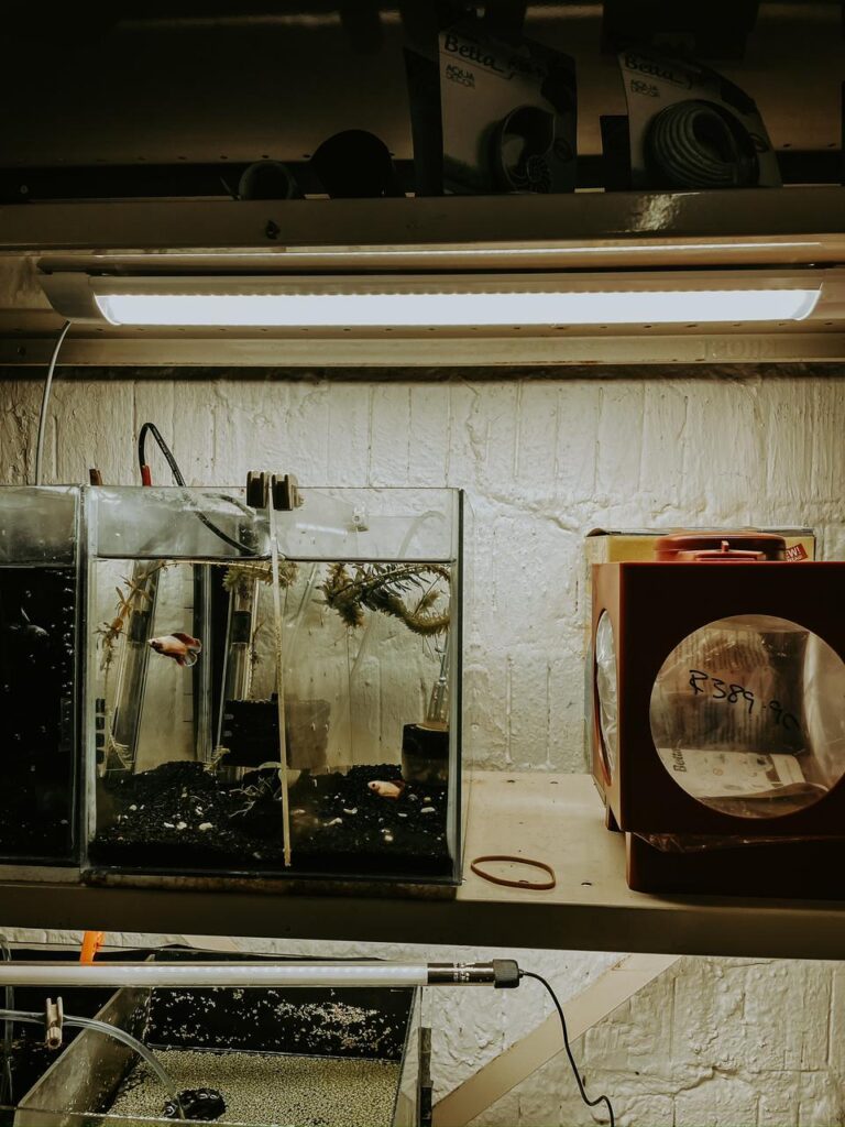 How to become a travel photographer 11 travel photography