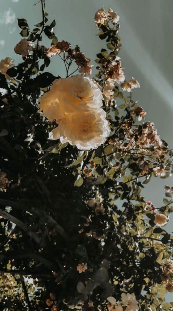 How to become a travel photographer 10 travel photography