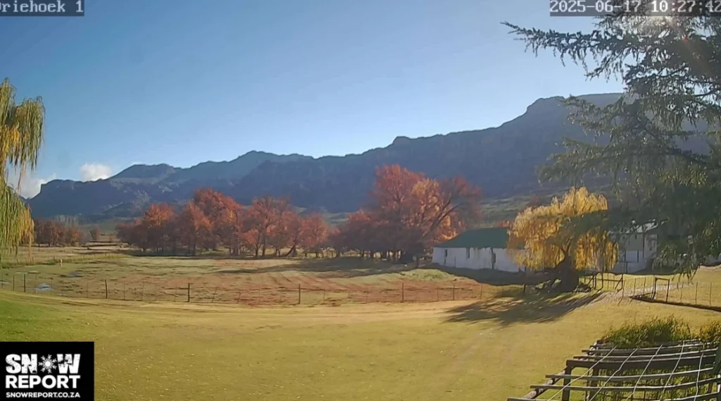 Winter Activities Listicle Winter Activities Listicle