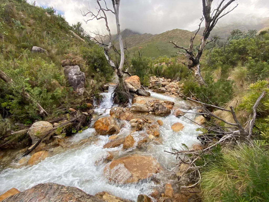 How To: Chil The Freak Out How To: Chil The Freak Out