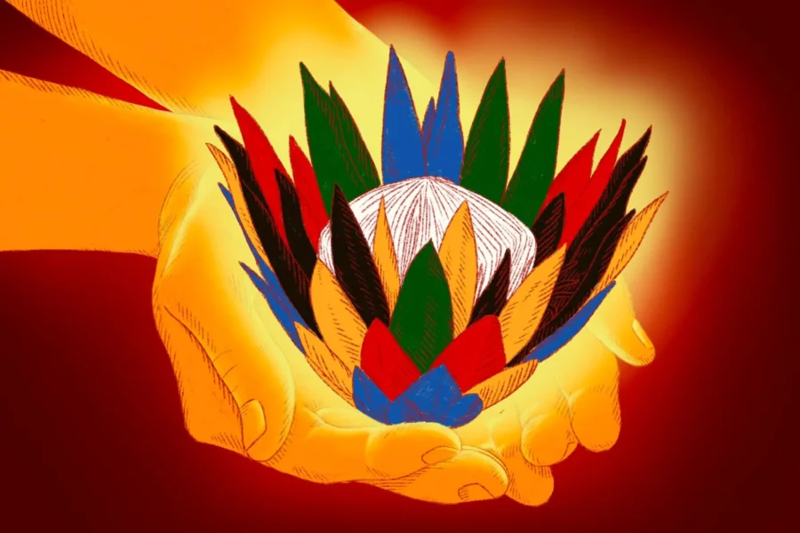 G20 Protea Illustration