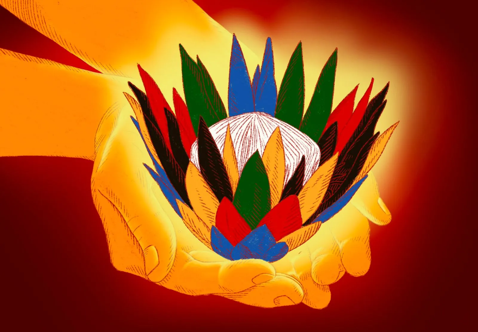 G20 Protea Illustration